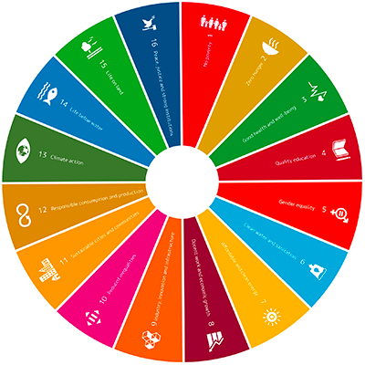 SDGs in a wheel